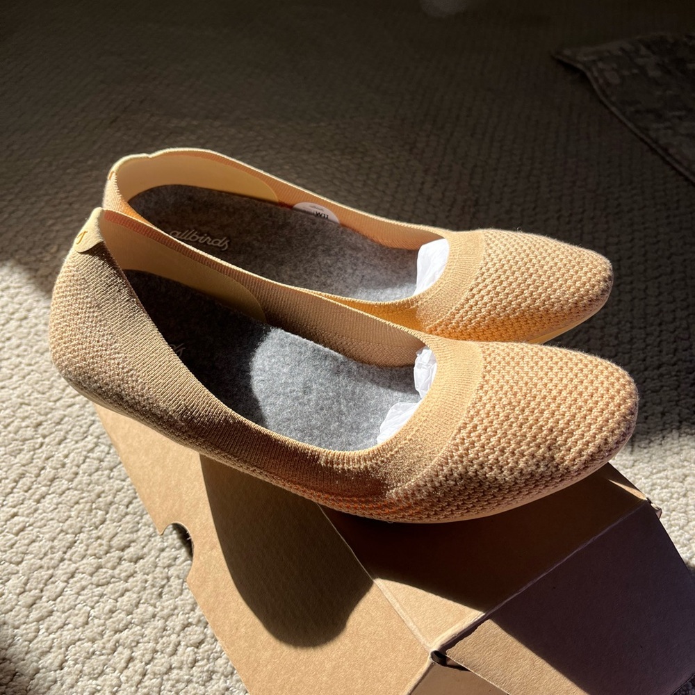 Allbirds Women's tan ballet flats